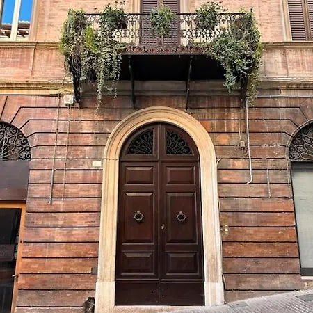 Raphael Temporary In