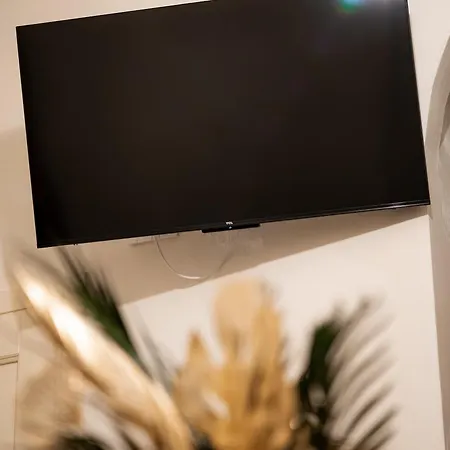 Raphael Temporary In *